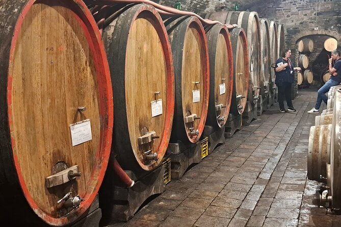 Cooking Classes in Tuscany Among the Chianti Vineyards - Multi-course Menu Preparation