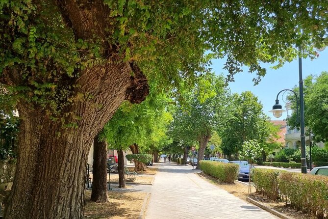 Corfu Town Hidden History Walking Tour - Expectations