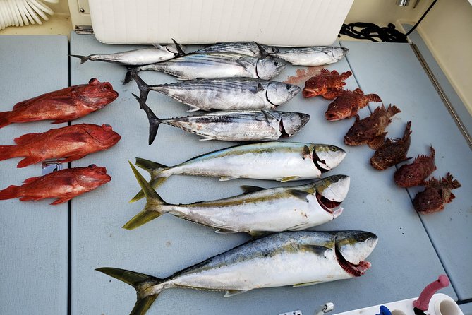 Coronado Islands 12 Hour Fishing Trip for up to 4 People - Contact and Terms