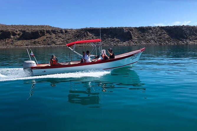 Coronados Island Tour - Reviews and Ratings