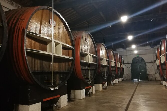 Côtes De Provence Wine Day Tour : 8 Hours - Tour Itinerary