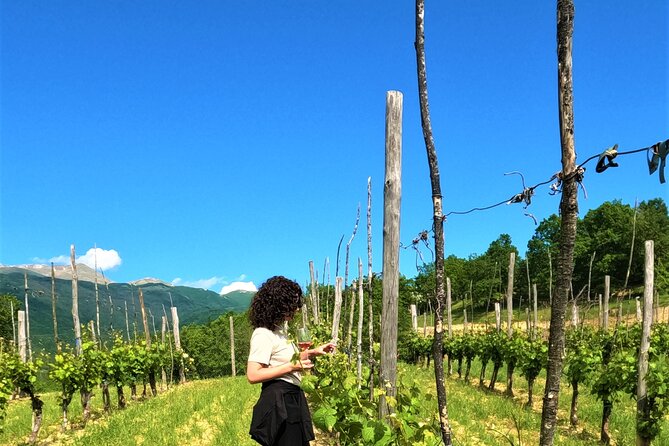 Countryside E-Bike & Vineyard Farm Visit - Meeting and Pickup Details
