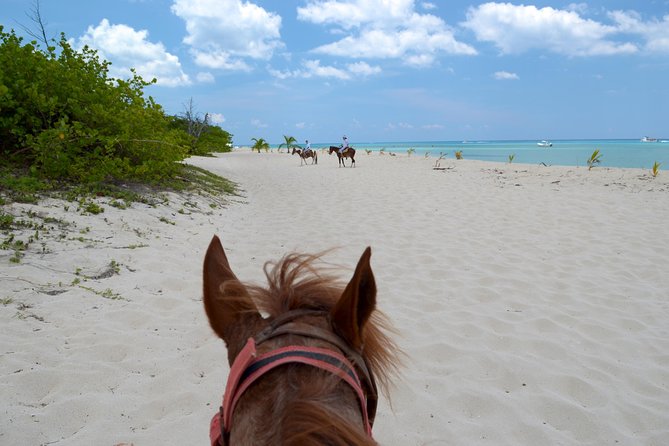 Cozumel Beach Horseback Riding Tour - Additional Information