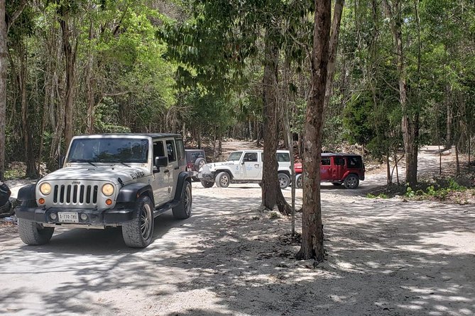 Cozumel Jeep Adventure to Jade Caverns With Lunch and Snorkel - Misleading Advertising and Dissatisfaction With the Tour