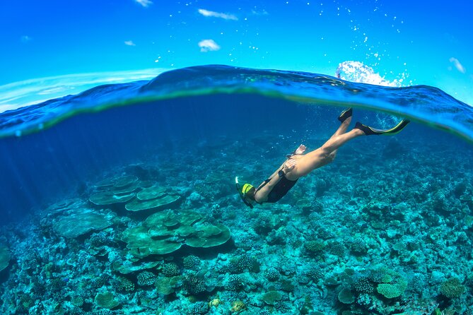 Cozumel Luxury Sailing & Snorkeling Cruise Experience - What To Expect
