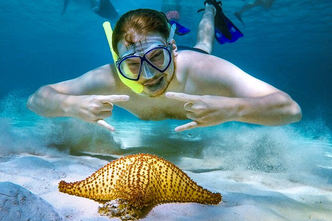 Cozumel Reefs Snorkeling Tour - Recommendations for Travelers