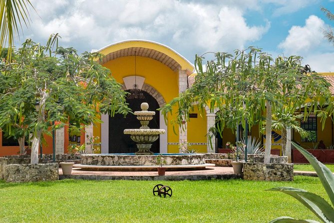 Cozumel Shore Excursion: 5-Hour Sightseeing Tour With Private Driver - What To Expect on the Tour