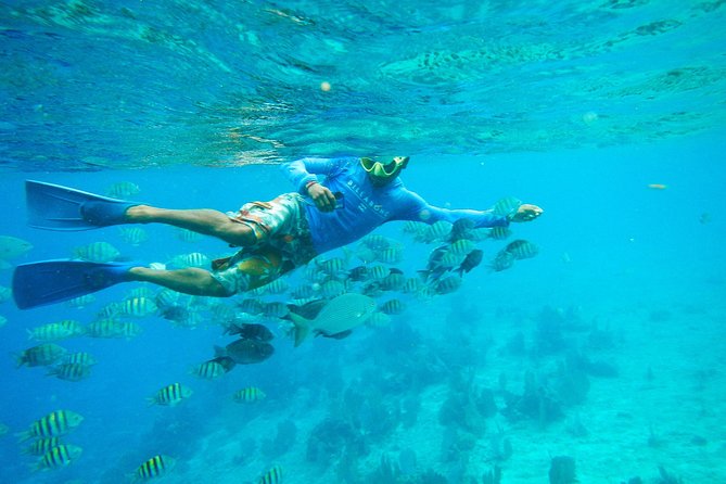 Cozumel & Snorkel Day Trip From Cancun - Tour Itinerary and Duration