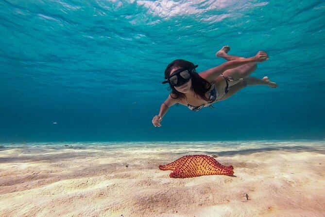 Cozumel Snorkeling Tour: Palancar, Columbia and El Cielo Reefs - Tour Inclusions