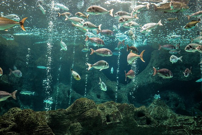 CRETAquarium Entrance Ticket in Crete - Facilities and Amenities