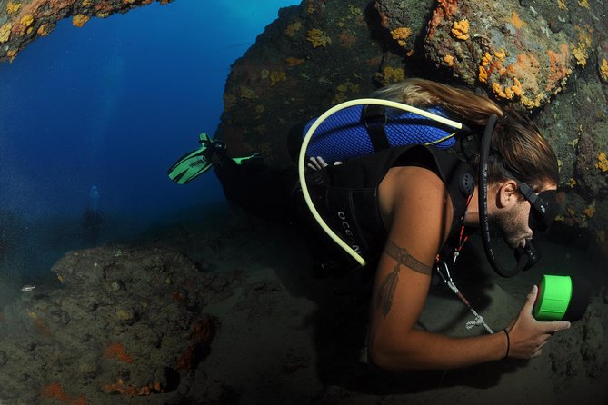 Crete Introductory Scuba Diving Experience - Traveler Photos and Feedback