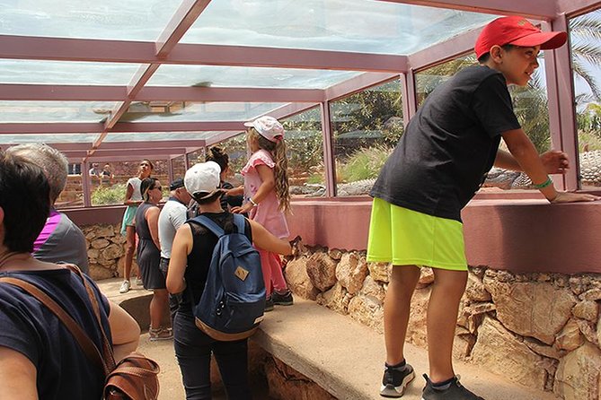 Crocoparc Tour in Agadir - Traveler Photos of Crocoparc