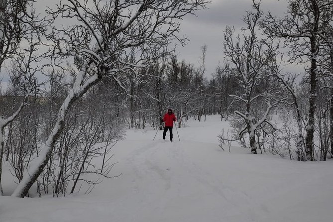 Cross-Country Ski Lesson for Beginners in Tromso - Meeting Point and Departure Times