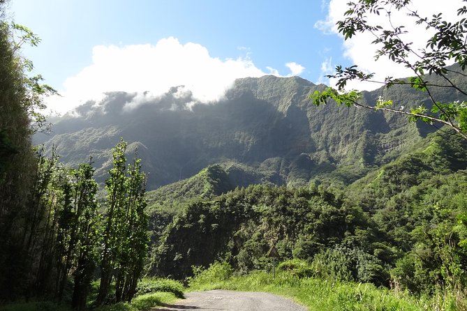 Crossing Over Tahiti Island Safari 4x4 - Pros and Cons