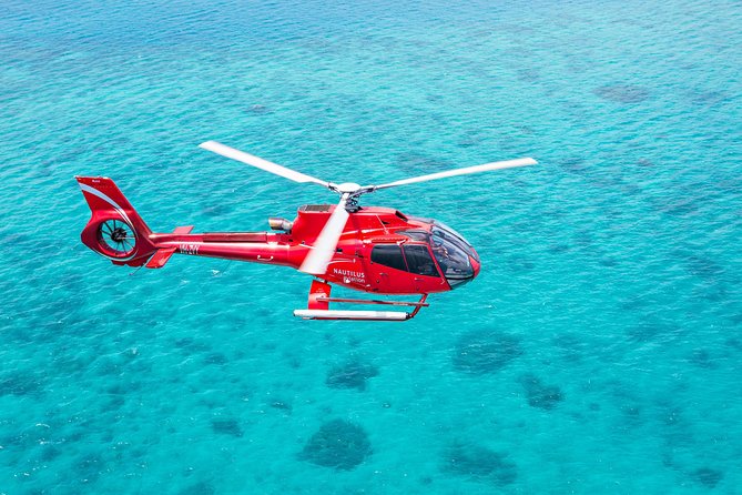 Cruise to Moore Reef Pontoon and Return Helicopter Flight From Cairns - Refunds and Cancellations
