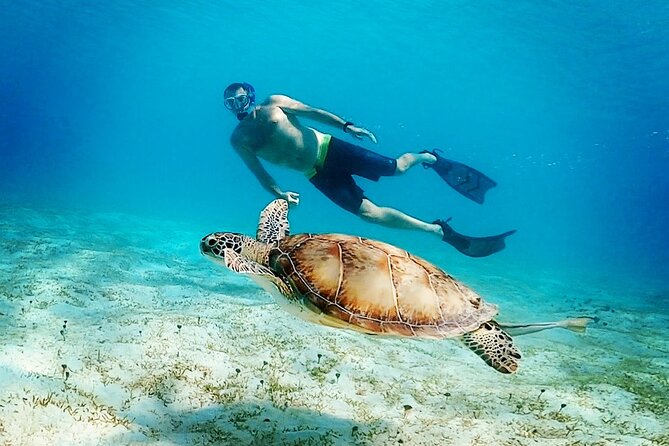 Cruz Bay Day-Sail Charter From St John - Confirmation, Accessibility, and Traveler Information