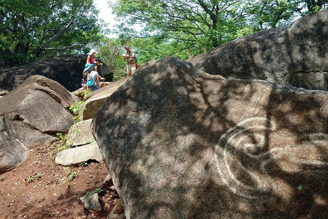Cultural Palma Sola Petroglyphs City Market Experience With Lunch - Tour Overview