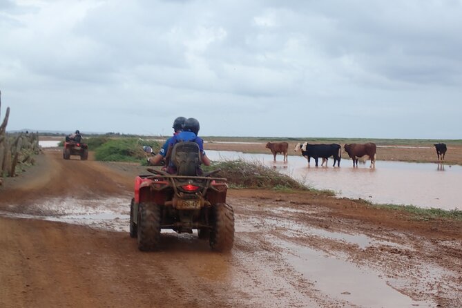 Curacao Half Day ATV East Adventure Tour - Directions