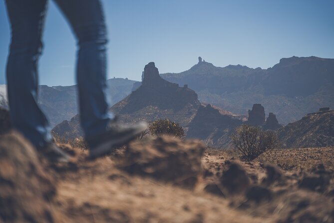 Custom Private & VIP Highlights Tour of Gran Canaria - Tour Duration and Value