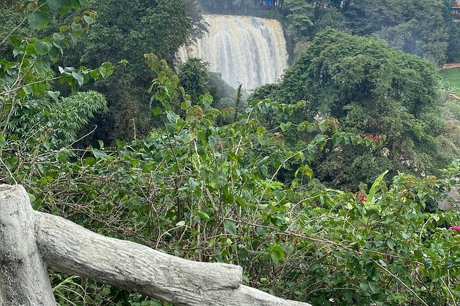 Da Lat Trekking Tour and Elephant Falls - Reviews