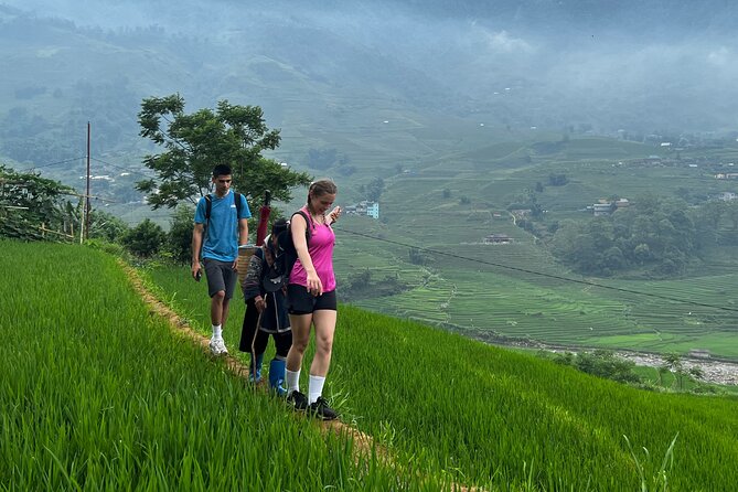 Daily Tour: Sapa Trekking in Muong Hoa Valley, Bamboo Forest - Limited Group Size: Personalized Attention