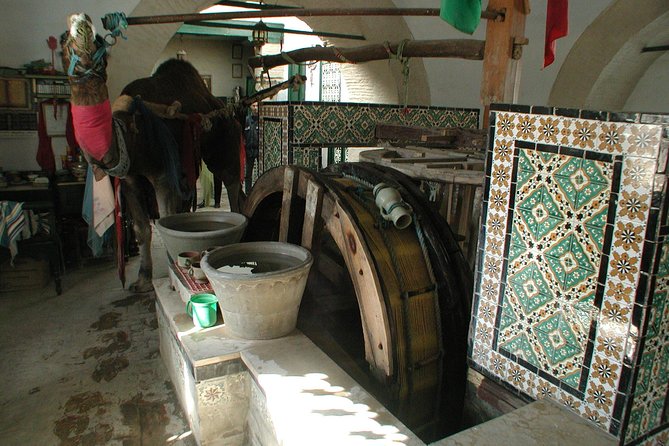 Day Excursion Kairouan_El Jem From Tunis - Minimum Traveler Requirement