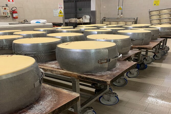 Day Tour Parmigiano, Ferrari Museum, Balsamic, Lambrusco, Lunch With Transfer - Reviews and Ratings