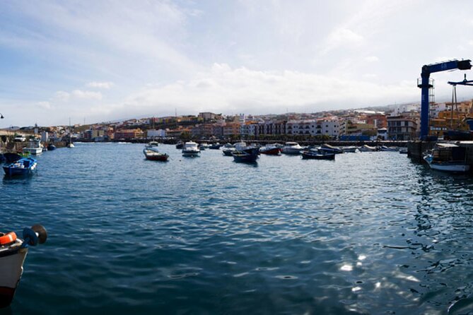 Day Tour With Official Guide Around the Island of Tenerife - Collection Point