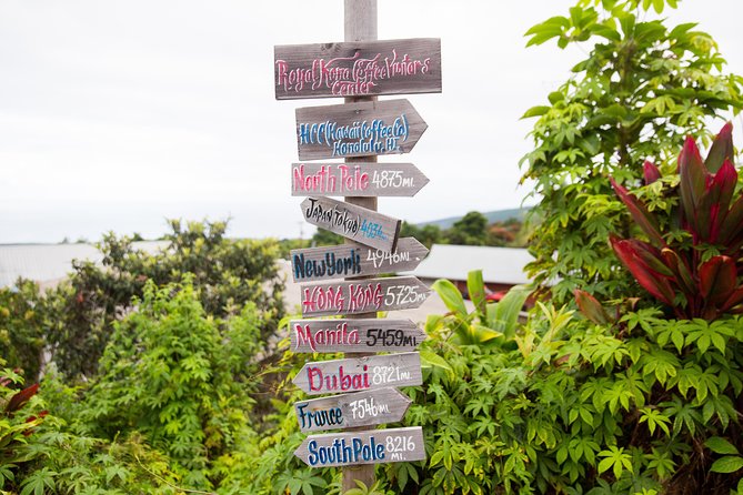 Day Trip From Oahu to Hilo: Active Volcanoes - Tour Guide Experience