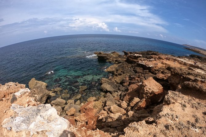 Day Trip off the Beaten Track to Cap Bon From Tunis or Hammamet - Common Questions