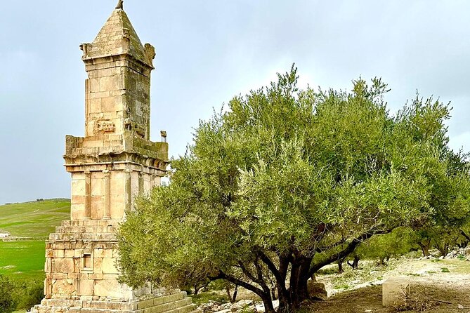 DAY TRIP TO Dougga & Bulla Regia , DEPARTURE FROM Tunis - Reviews