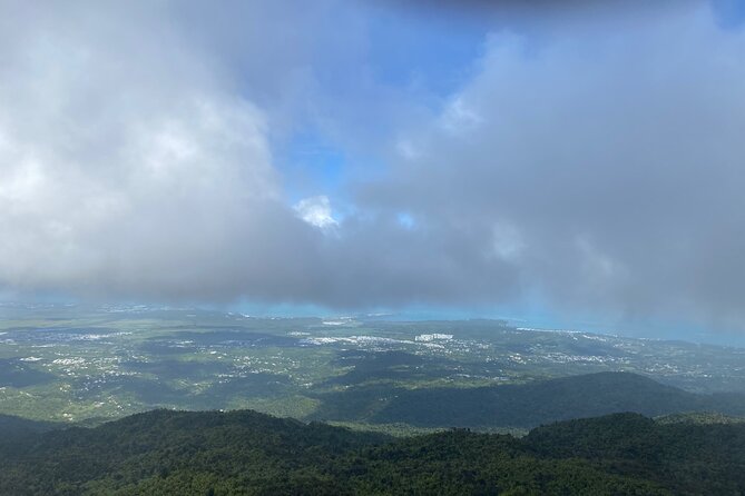 Day Trip to El Yunque Tropical Rainforest From San Juan - The Sum Up