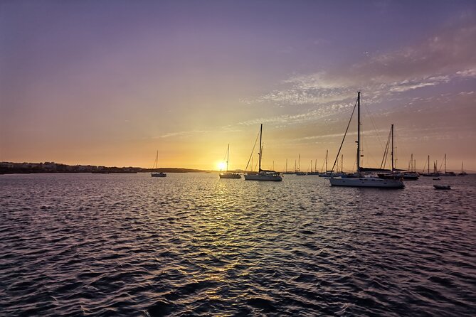 Day Trip to Formentera by Catamaran - Questions and Product Code