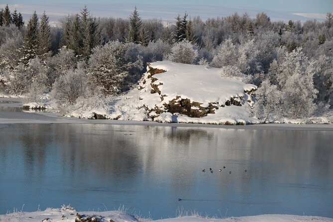 Day Trip to Lake Mývatn and the Nature Baths From Akureyri - Positive Reviews