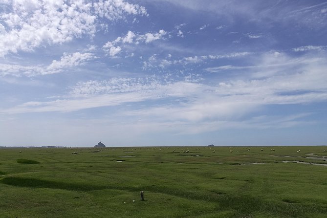 Day Trip to Mont Saint-Michel From Saint-Malo - 6 Hours - Customer Review