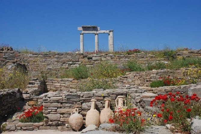 Delos Tour From Mykonos - Traveler Photos