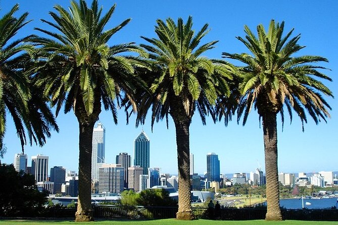 Departure Private Transfer: Perth City to Perth Airport PER in Business Car - Pricing
