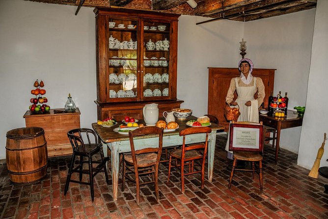 Destrehan Plantation and Swamp Tour Combo From New Orleans - Alligator Life Cycle and Swamp Tour Experience