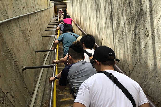 Diamond Head Bike to Hike and Local Lunch - Recommendations