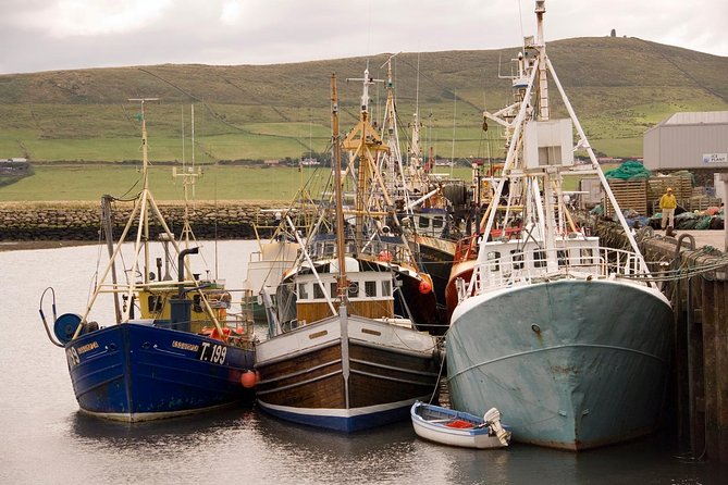 Dingle Peninsula Day Tour From Killarney: Including the Wild Altanic Way - Tour Price and Additional Information