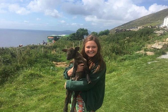 Dingle Peninsula Day Tour From Limerick: Including the Wild Altanic Way - Insider Tips and Recommendations