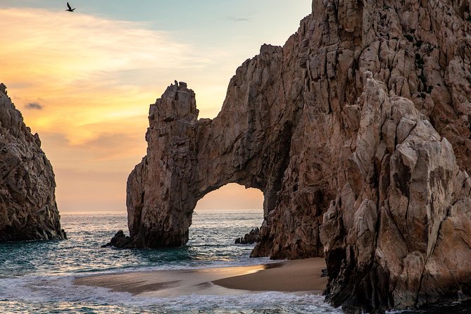Dinner Cruise Tour in Cabo San Lucas With Tequila Tasting - Cancellation Policy