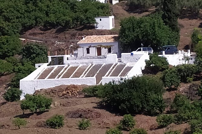 Discover Boutique Wineries and White Washed Villages With Andalucian Lunch - Common Questions