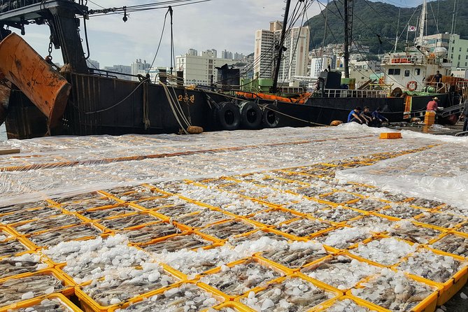Discover Busan: A Full-Day Adventure - General Information