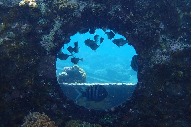 Discover Diving in Curacao - Dive Experience Highlights