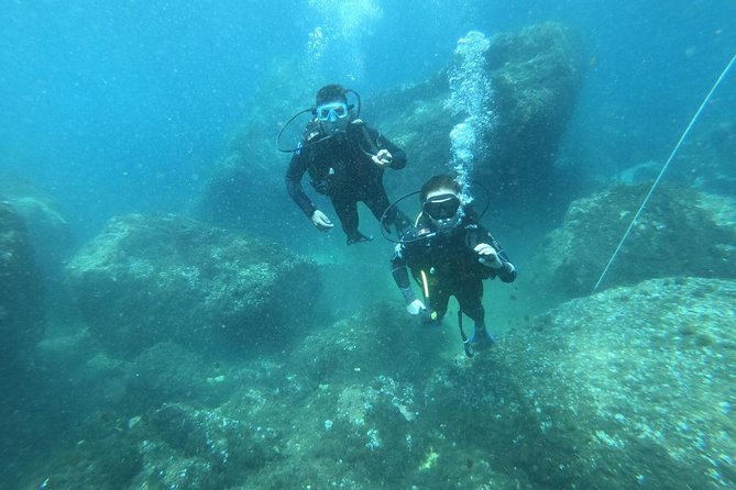 Discover Scuba Diving - Top Dive Sites for Discovering Underwater Wonders