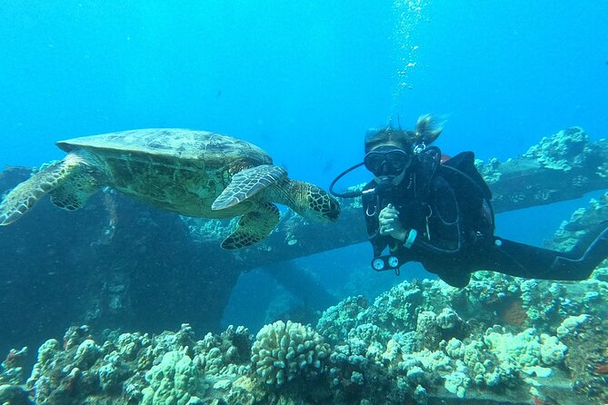 Discover Scuba Diving Class - Lahaina - Meeting and Pickup Details