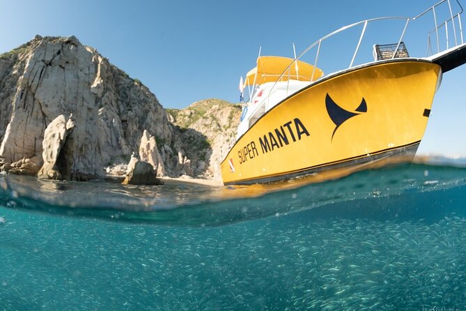 Discover Scuba Diving for Beginners With MANTA in Cabo San Lucas - Meeting and Logistics Information
