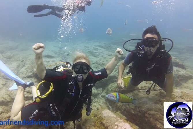 Discover Scuba Diving, Free Pictures Included - Traveler Photos and Reviews