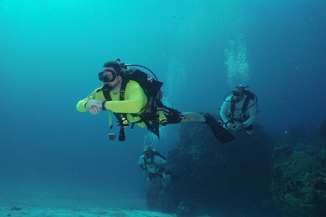 Discover Scuba Diving in Cozumel - Meeting and Pickup Information